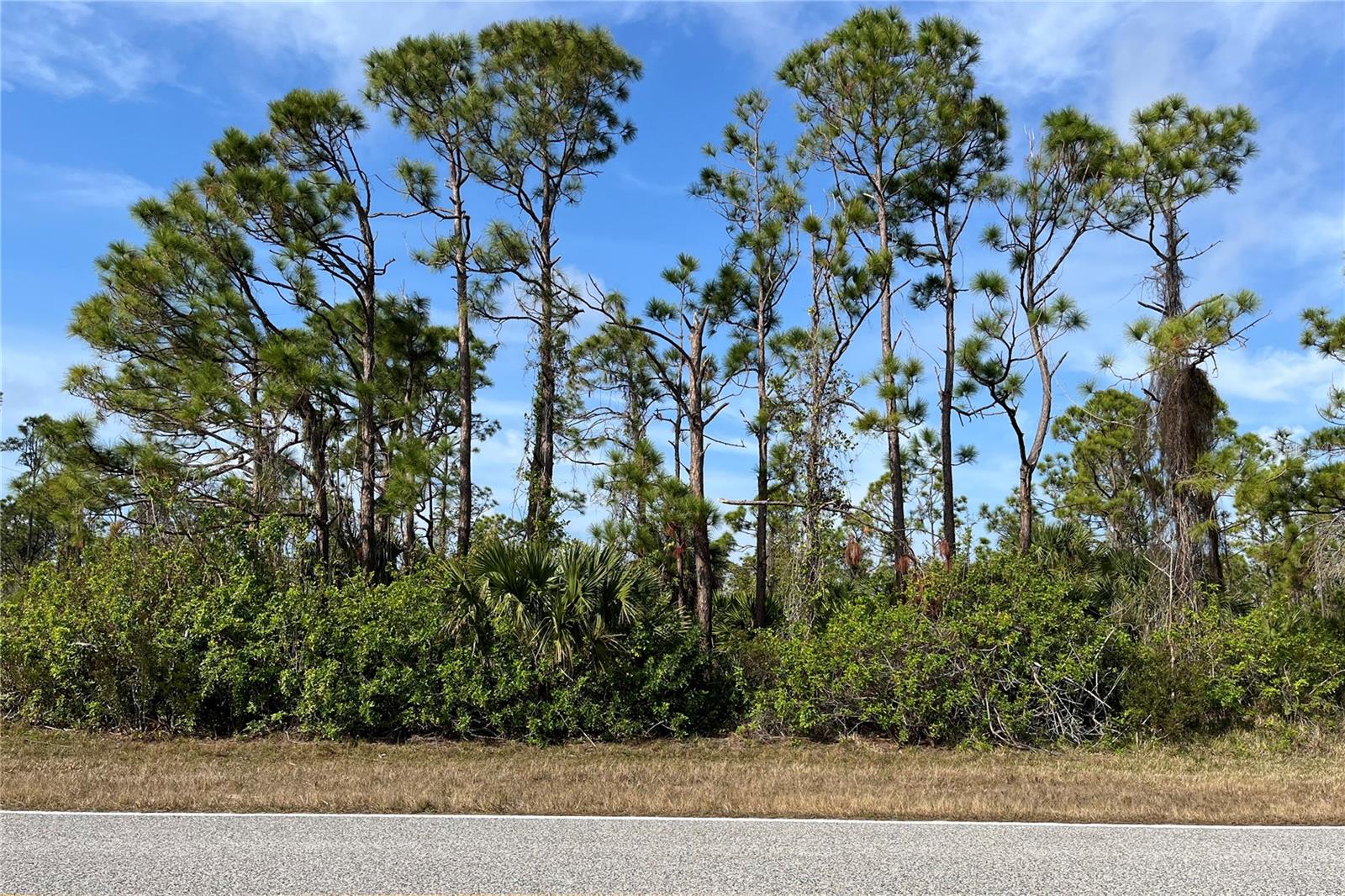 14767 SAN DOMINGO BLVD, PORT CHARLOTTE, FL, 33981