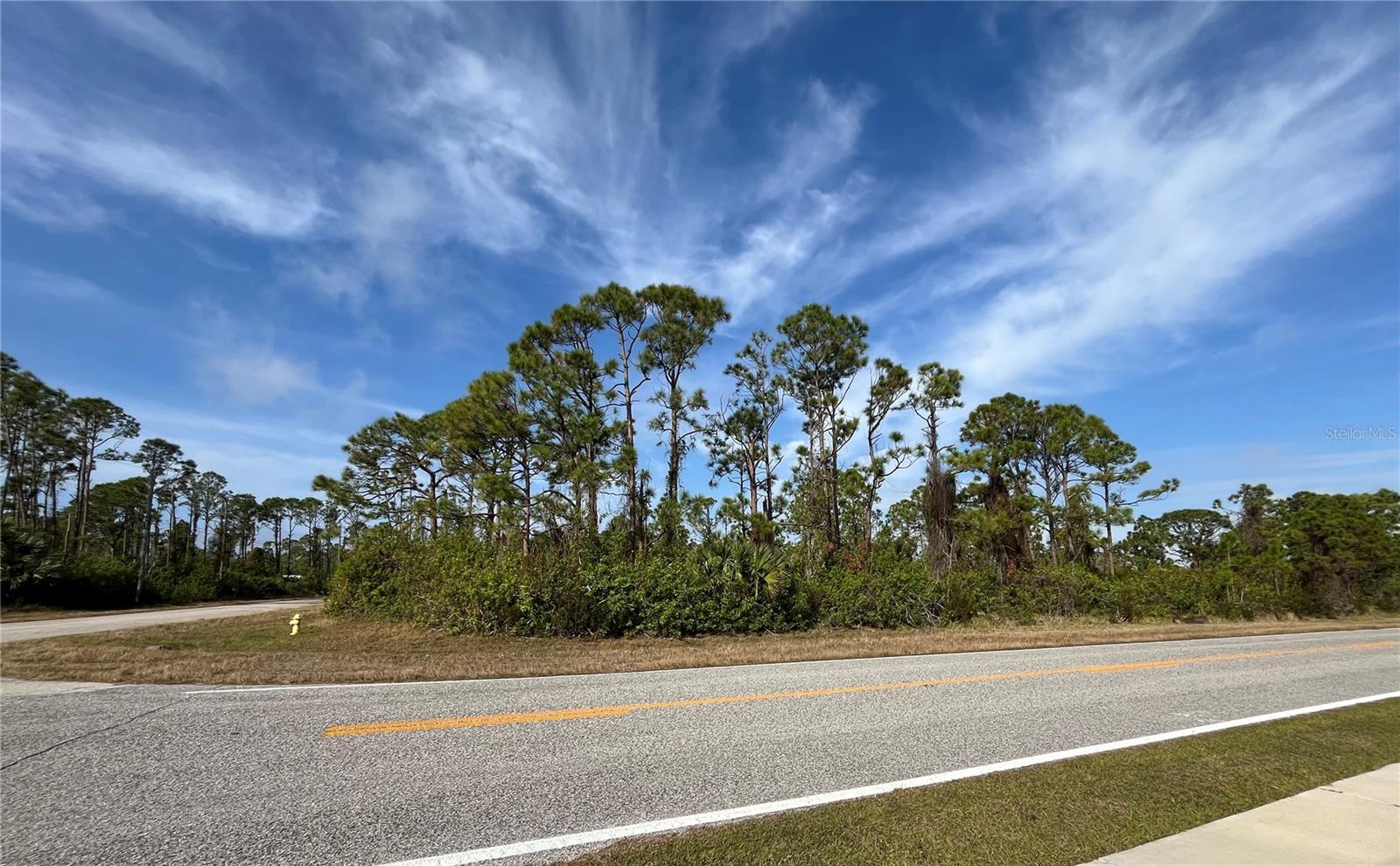 14767 SAN DOMINGO BLVD, PORT CHARLOTTE, FL, 33981