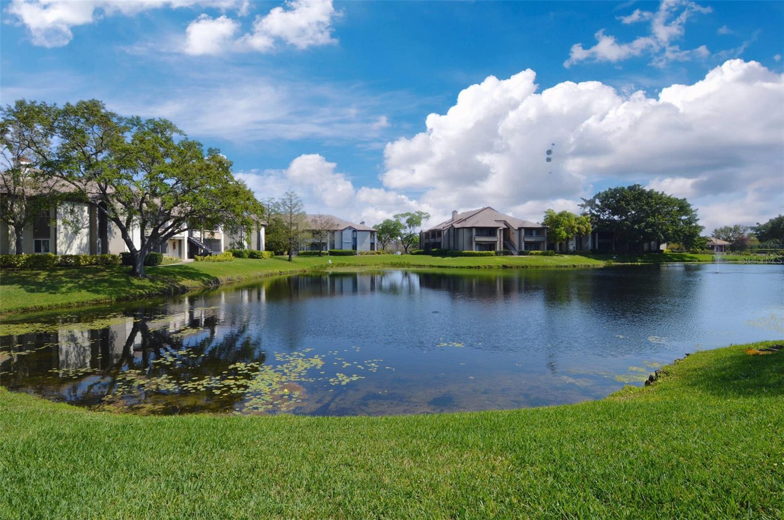 10265 GANDY BLVD N #1707, ST PETERSBURG, FL, 33702