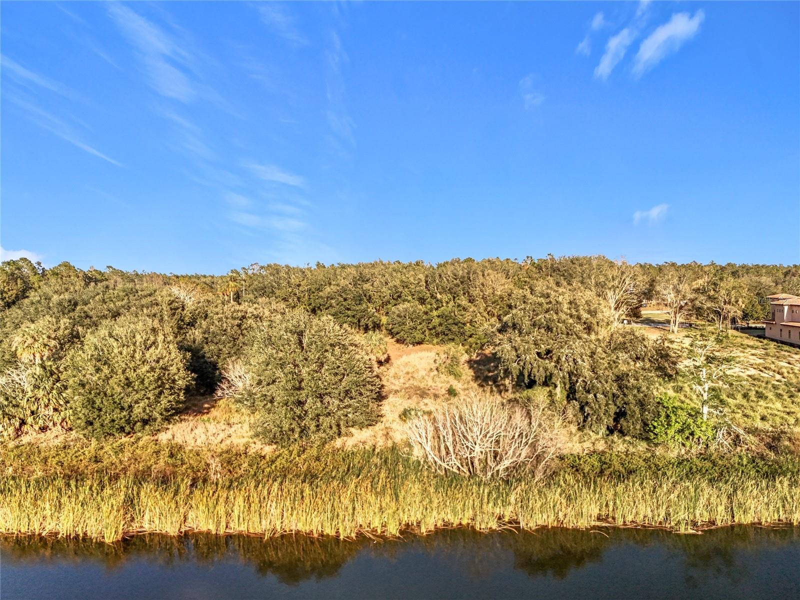 15437 PENDIO DR, MONTVERDE, FL, 34756