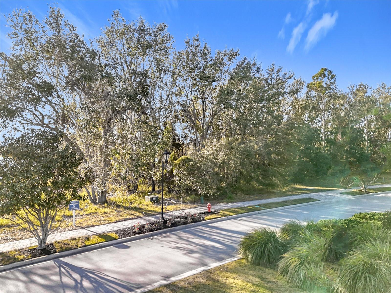 15437 PENDIO DR, MONTVERDE, FL, 34756