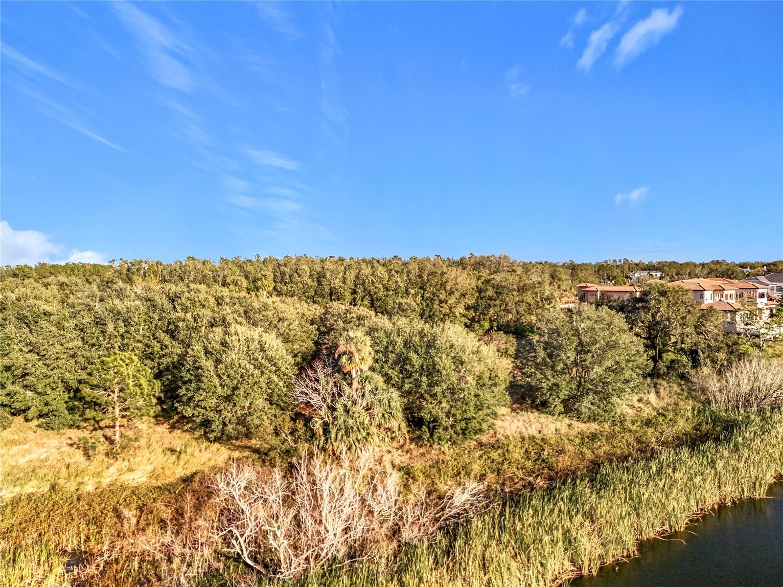 15437 PENDIO DR, MONTVERDE, FL, 34756