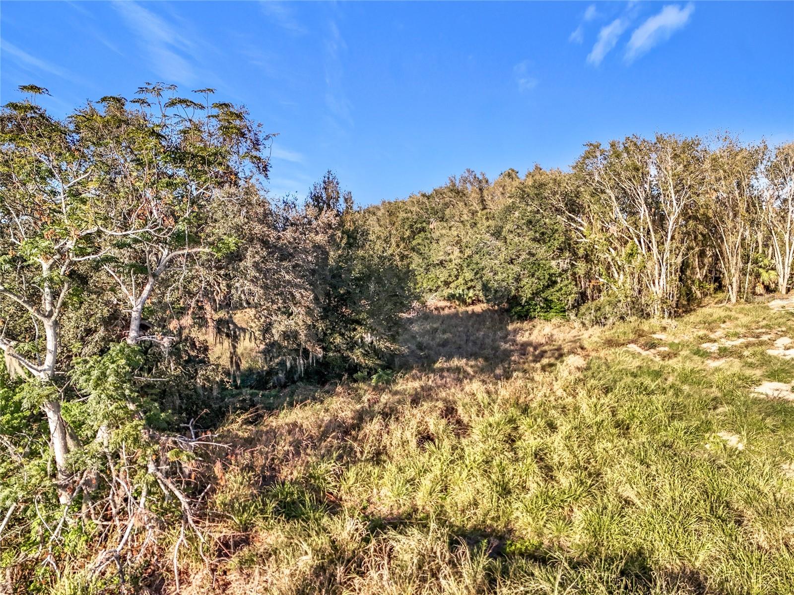 15437 PENDIO DR, MONTVERDE, FL, 34756