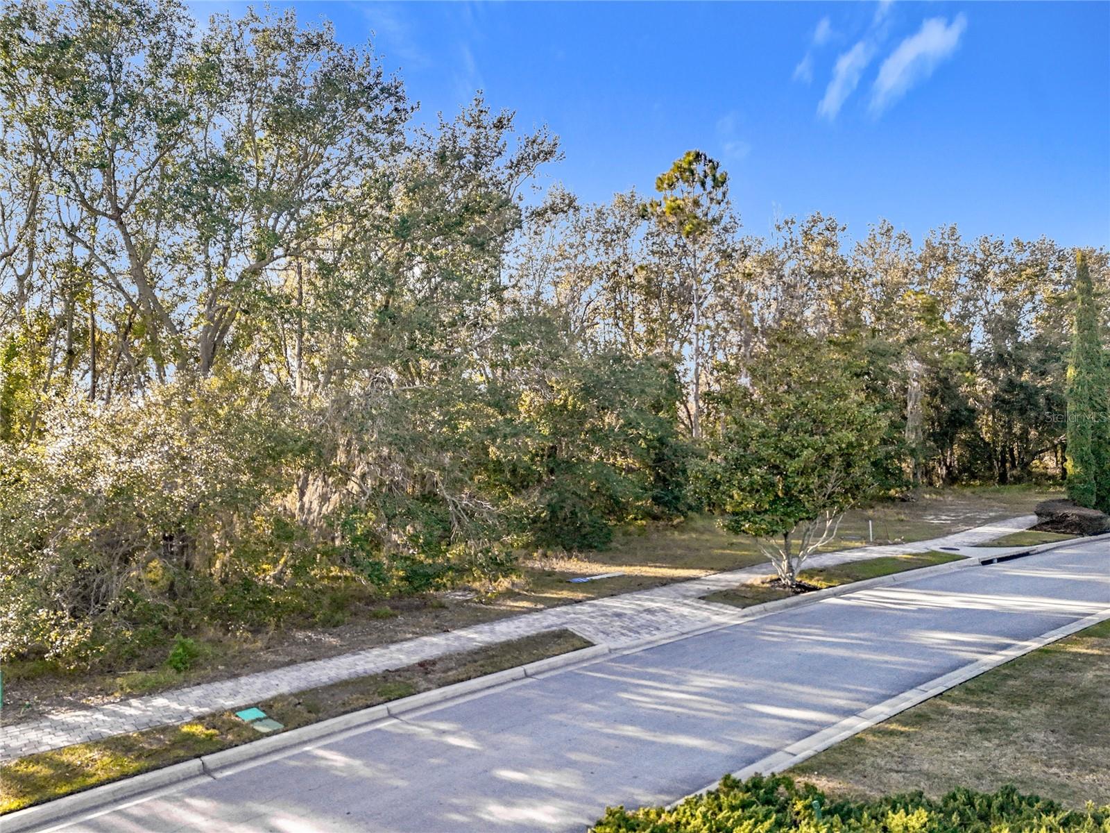 15437 PENDIO DR, MONTVERDE, FL, 34756