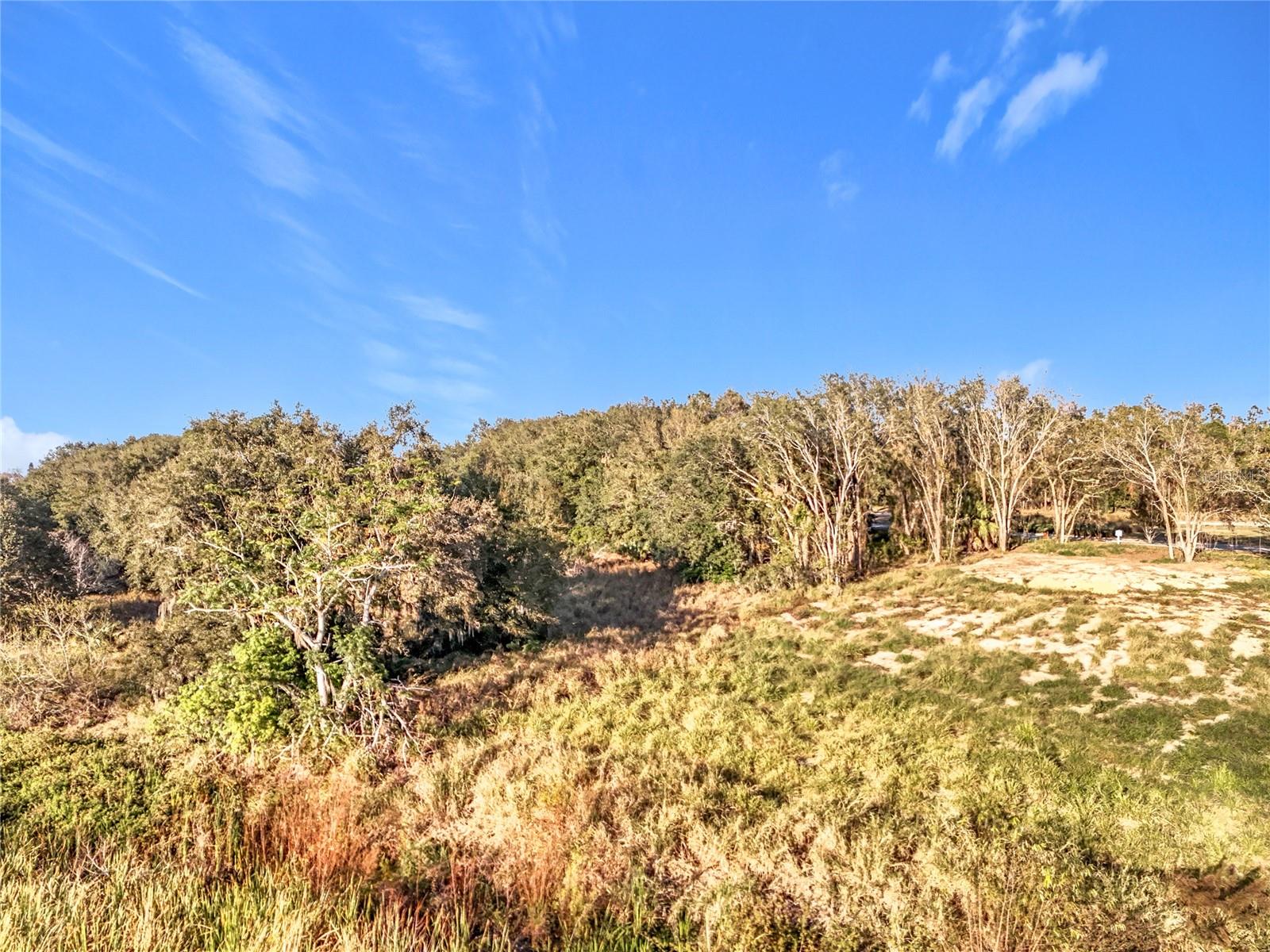 15437 PENDIO DR, MONTVERDE, FL, 34756