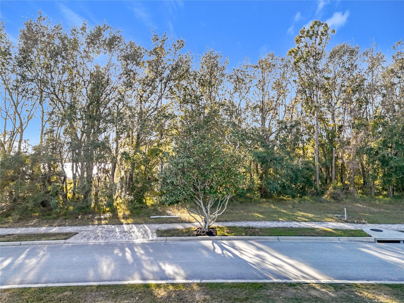 15437 PENDIO DR, MONTVERDE, FL, 34756