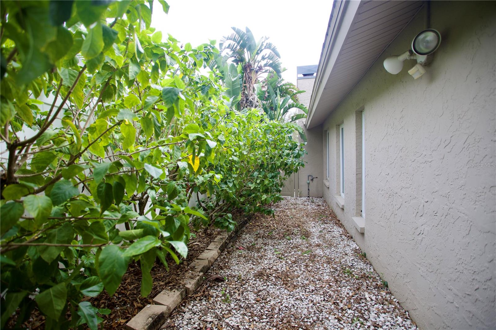 2079 SWAN LN, SAFETY HARBOR, FL, 34695