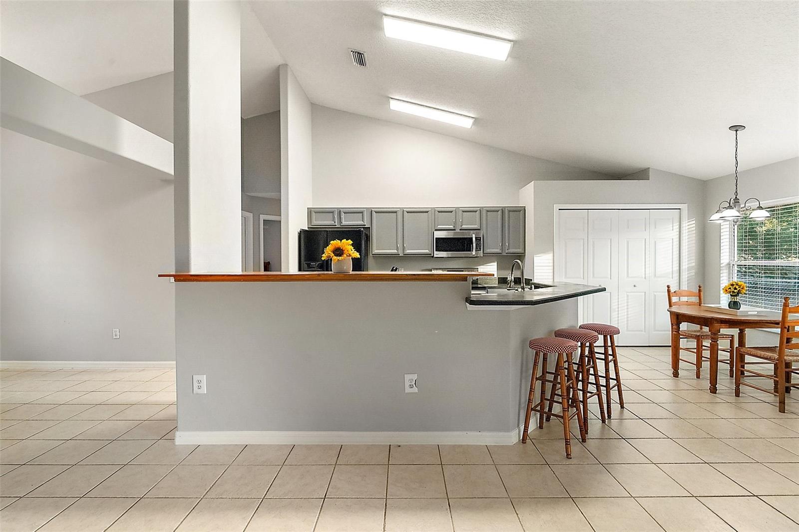 9320 COUNTY ROAD 125B, WILDWOOD, FL, 34785
