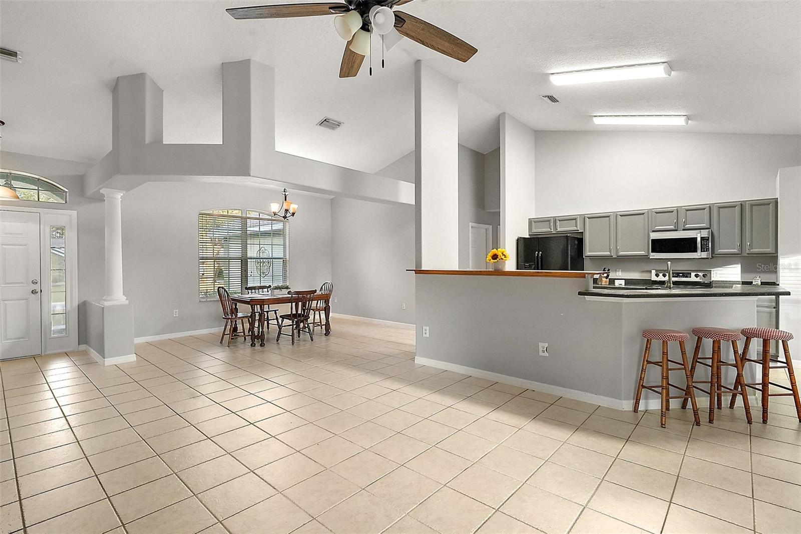 9320 COUNTY ROAD 125B, WILDWOOD, FL, 34785