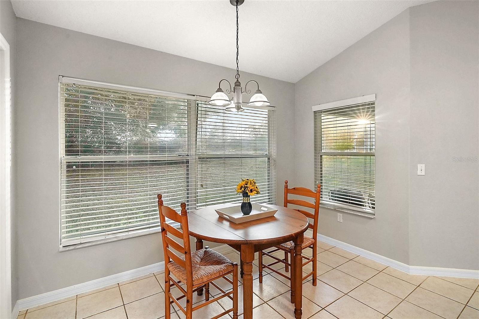 9320 COUNTY ROAD 125B, WILDWOOD, FL, 34785