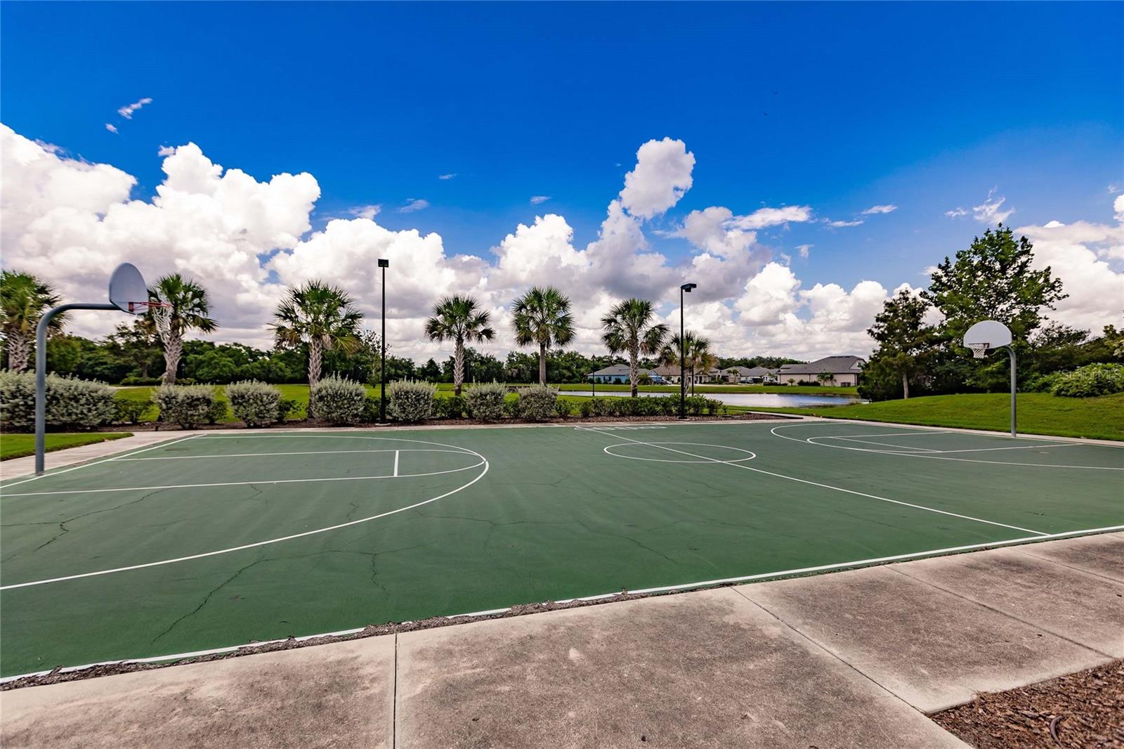 12811 WHEATGRASS CT, PARRISH, FL, 34219