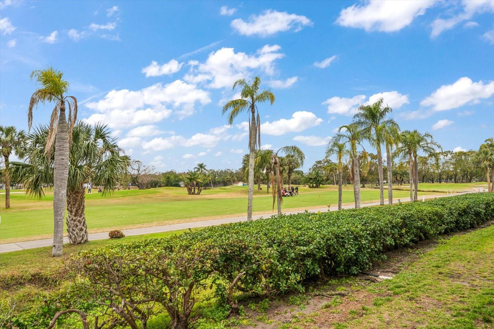 12300 VONN RD #6101, LARGO, FL, 33774
