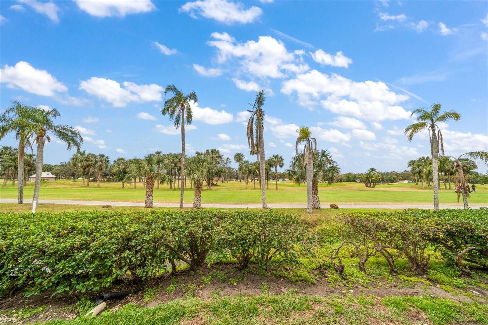 12300 VONN RD #6101, LARGO, FL, 33774