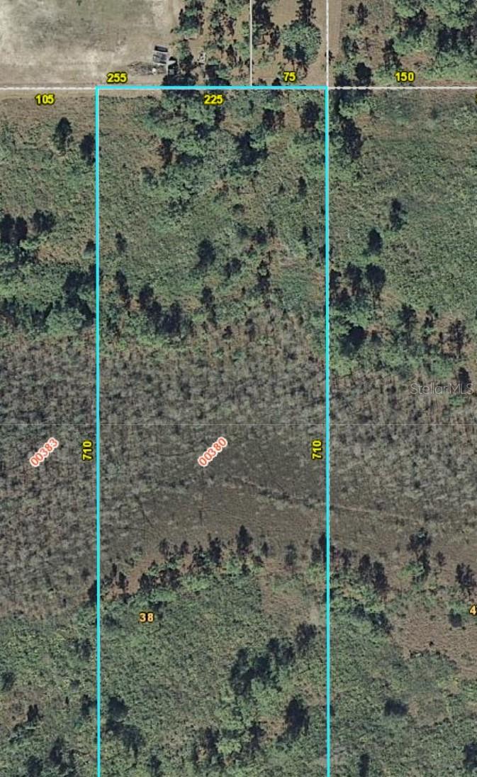 Lot 380 SABAL ST, ORLANDO, FL, 32833