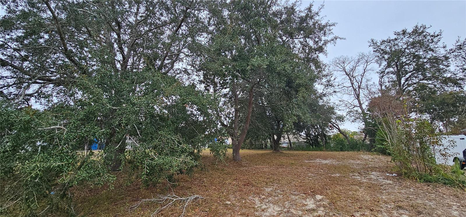 10459 ABBEVILLE ST, SPRING HILL, FL, 34608