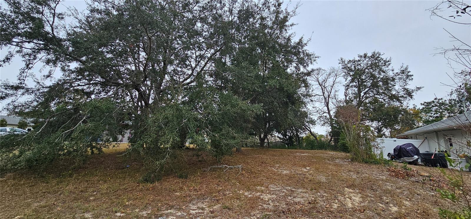 10459 ABBEVILLE ST, SPRING HILL, FL, 34608