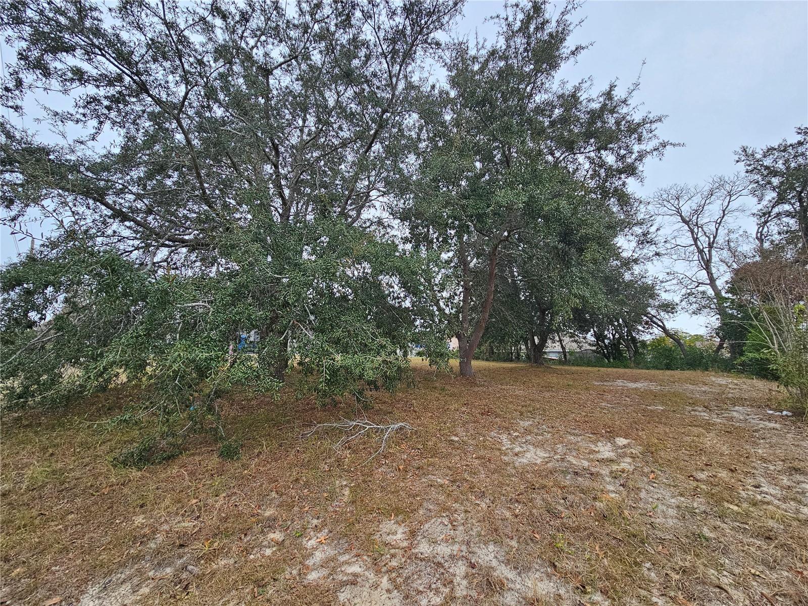 10459 ABBEVILLE ST, SPRING HILL, FL, 34608