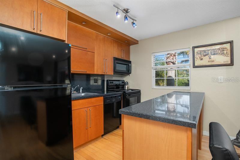 1519 CATHERINE ST #10, ORLANDO, FL, 32801