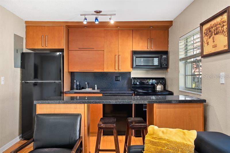 1519 CATHERINE ST #10, ORLANDO, FL, 32801