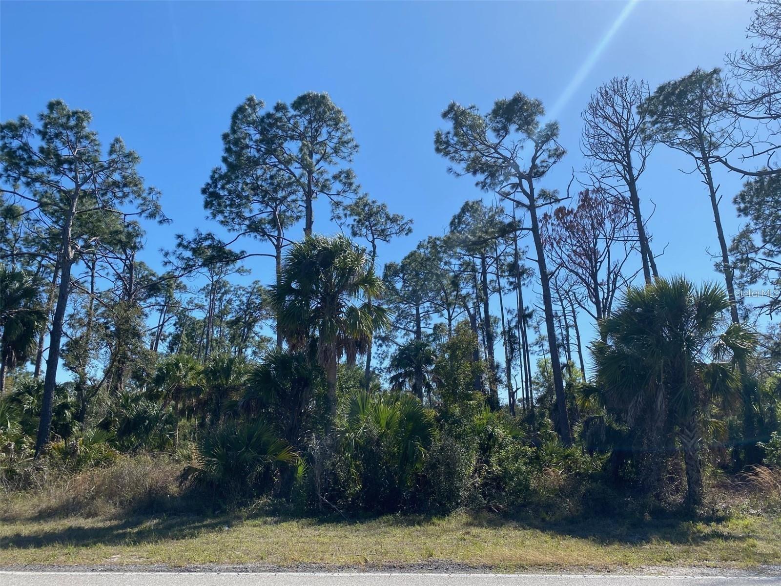 17467 and 17475 HILLSBOROUGH BLVD, PORT CHARLOTTE, FL, 33954