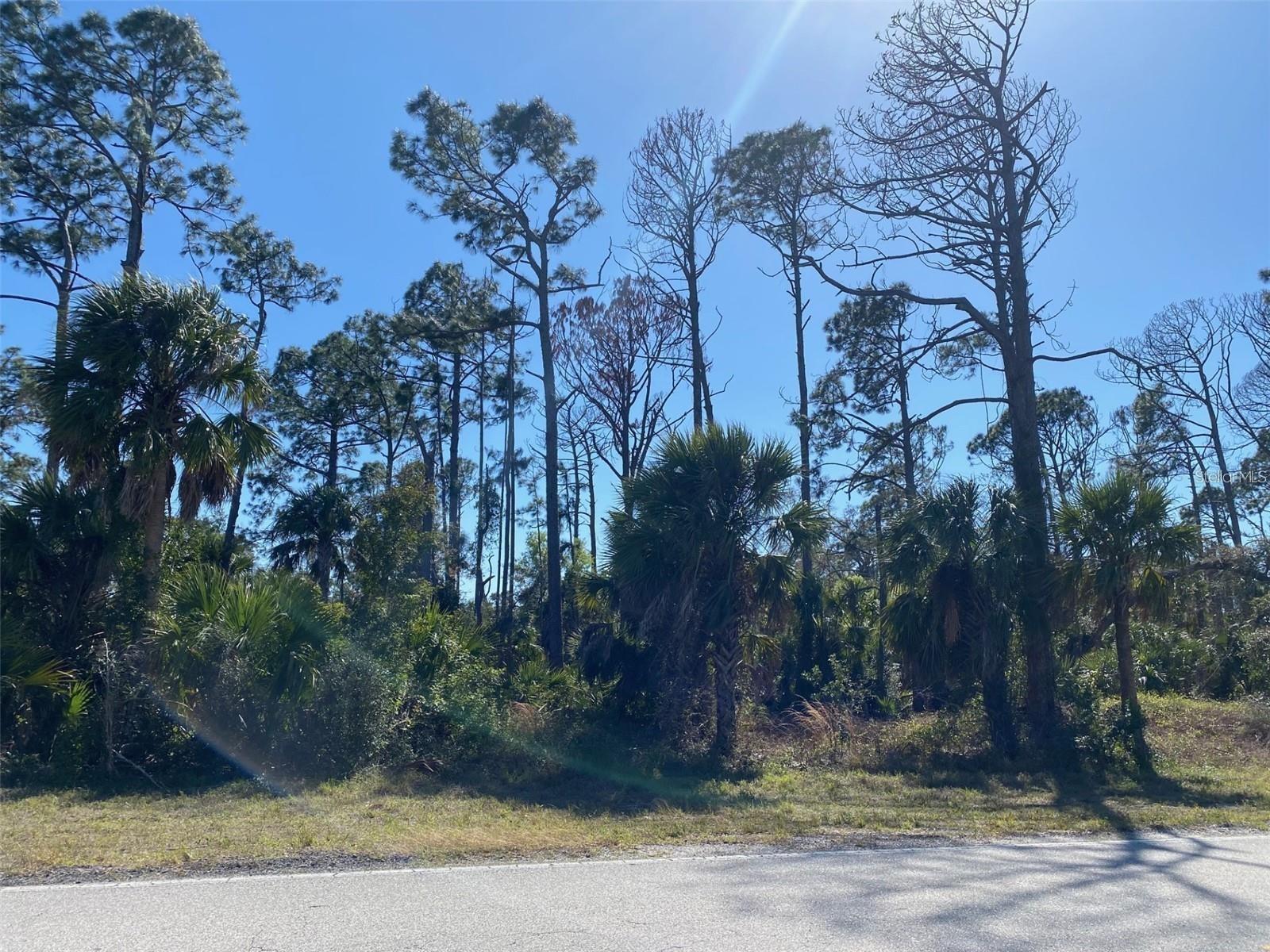 17467 and 17475 HILLSBOROUGH BLVD, PORT CHARLOTTE, FL, 33954