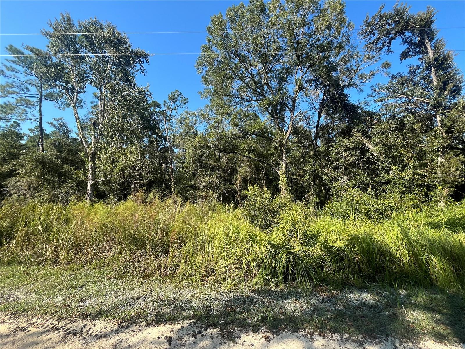 GRINDSTONE DR, WEBSTER, FL, 33597