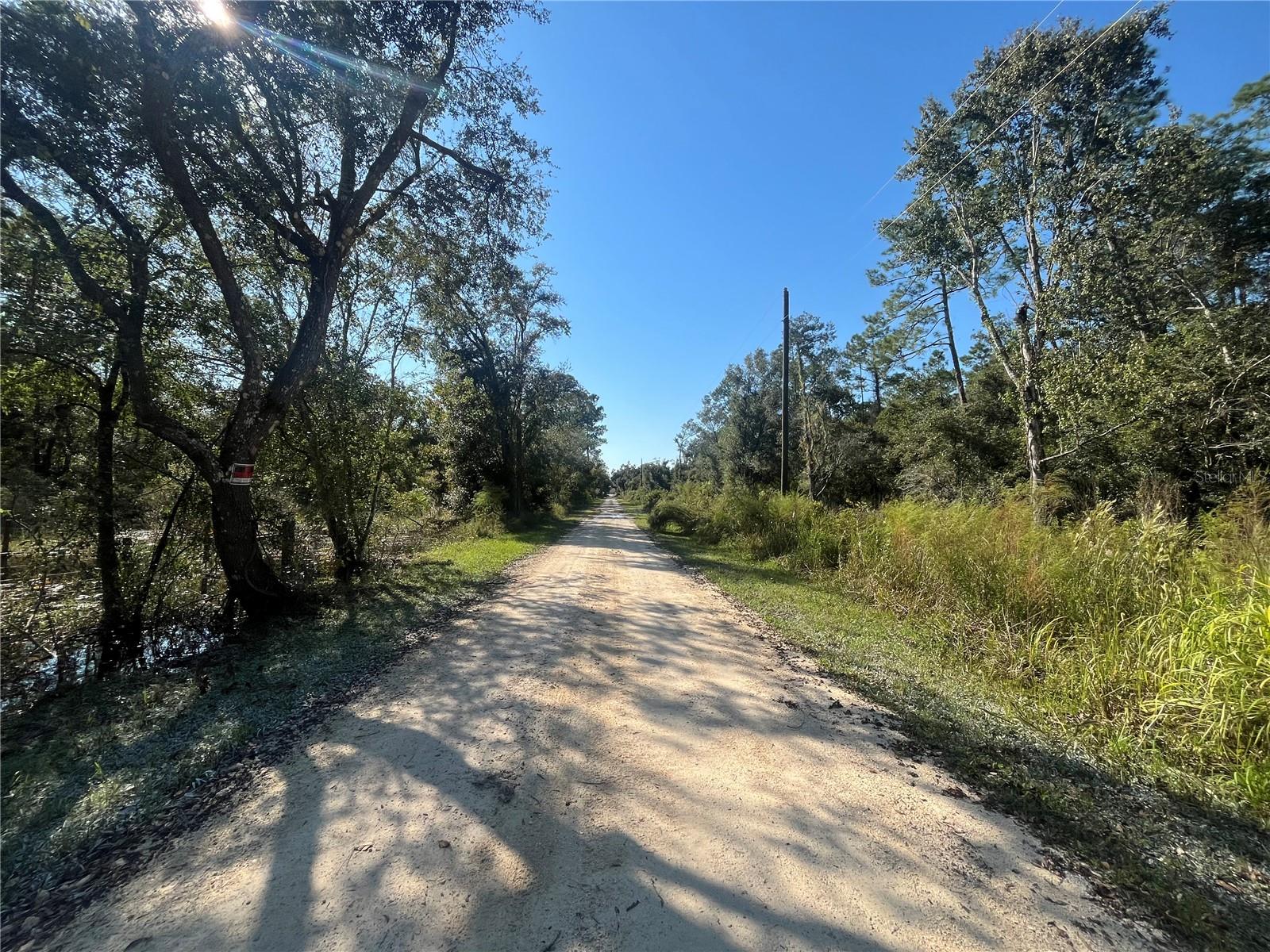 GRINDSTONE DR, WEBSTER, FL, 33597