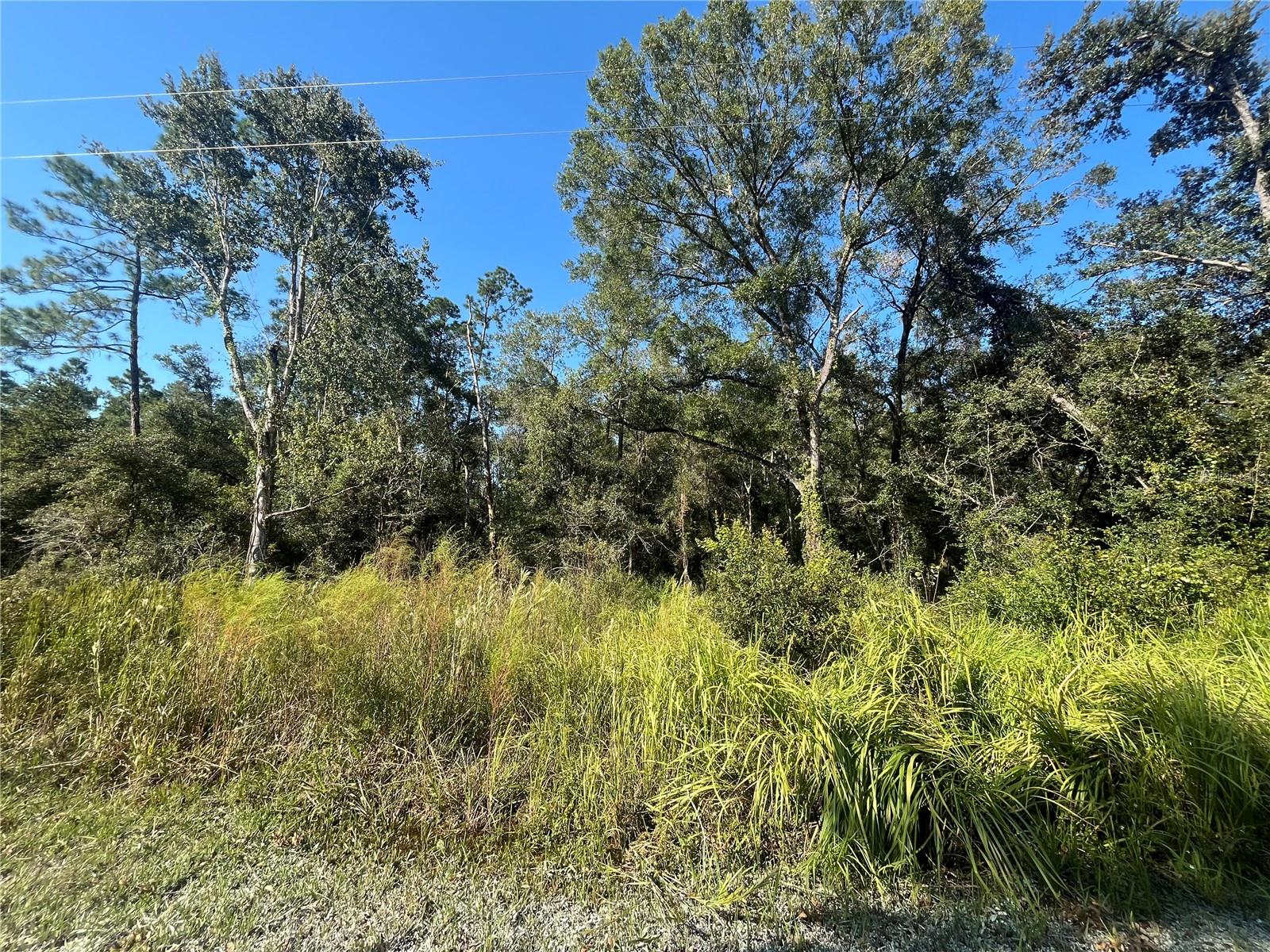 GRINDSTONE DR, WEBSTER, FL, 33597