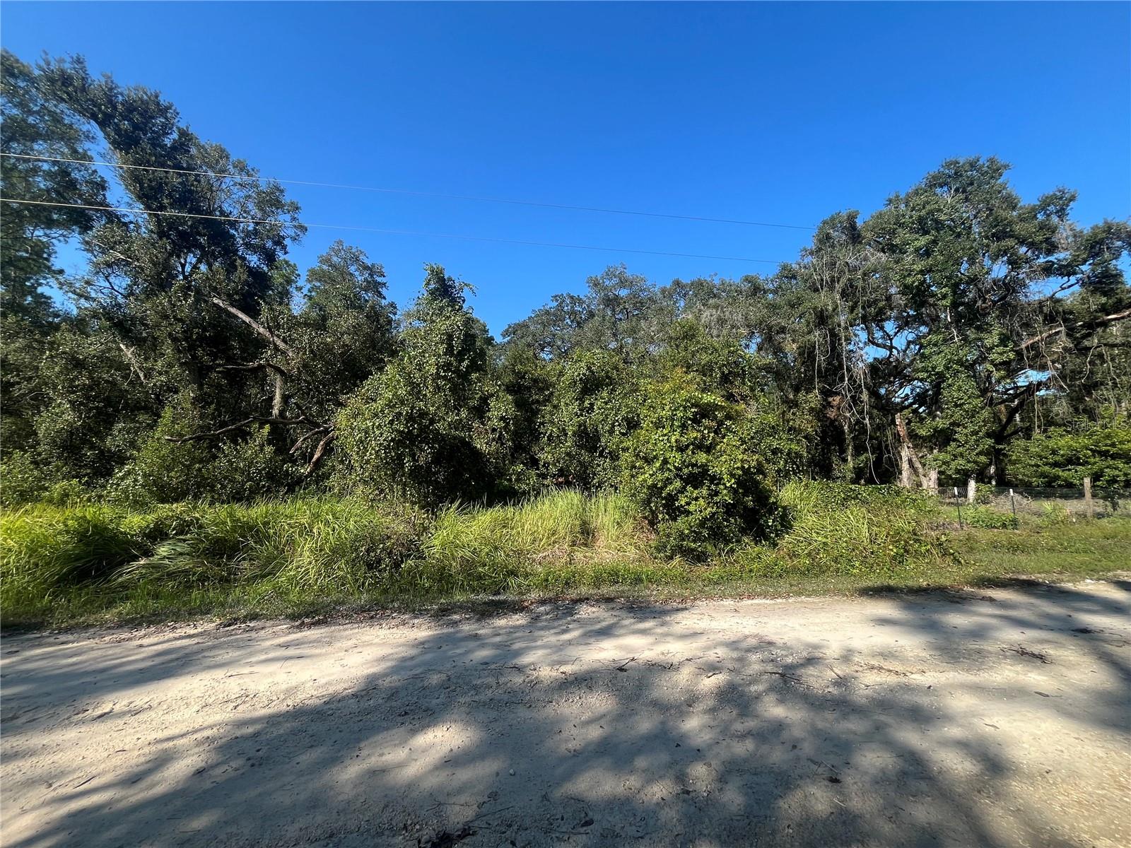 GRINDSTONE DR, WEBSTER, FL, 33597