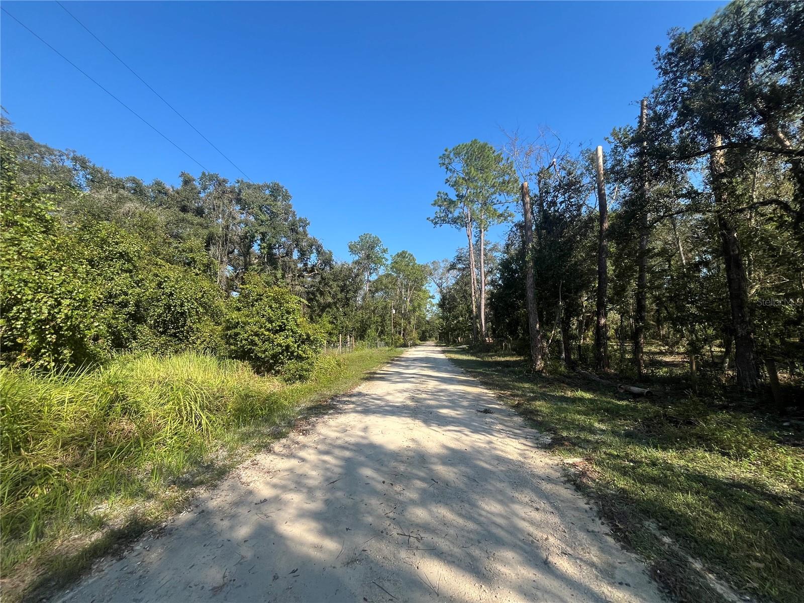 GRINDSTONE DR, WEBSTER, FL, 33597
