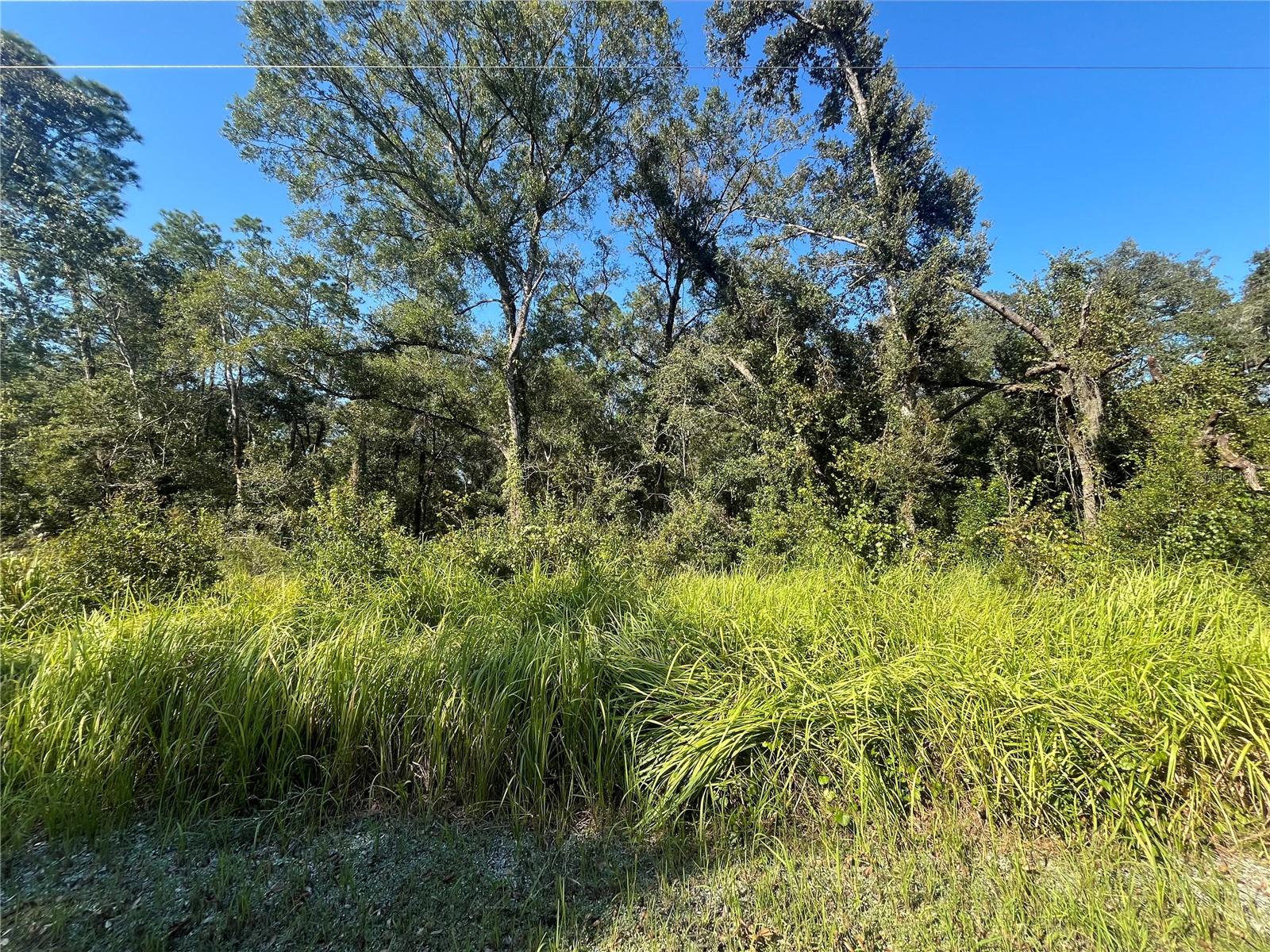 GRINDSTONE DR, WEBSTER, FL, 33597