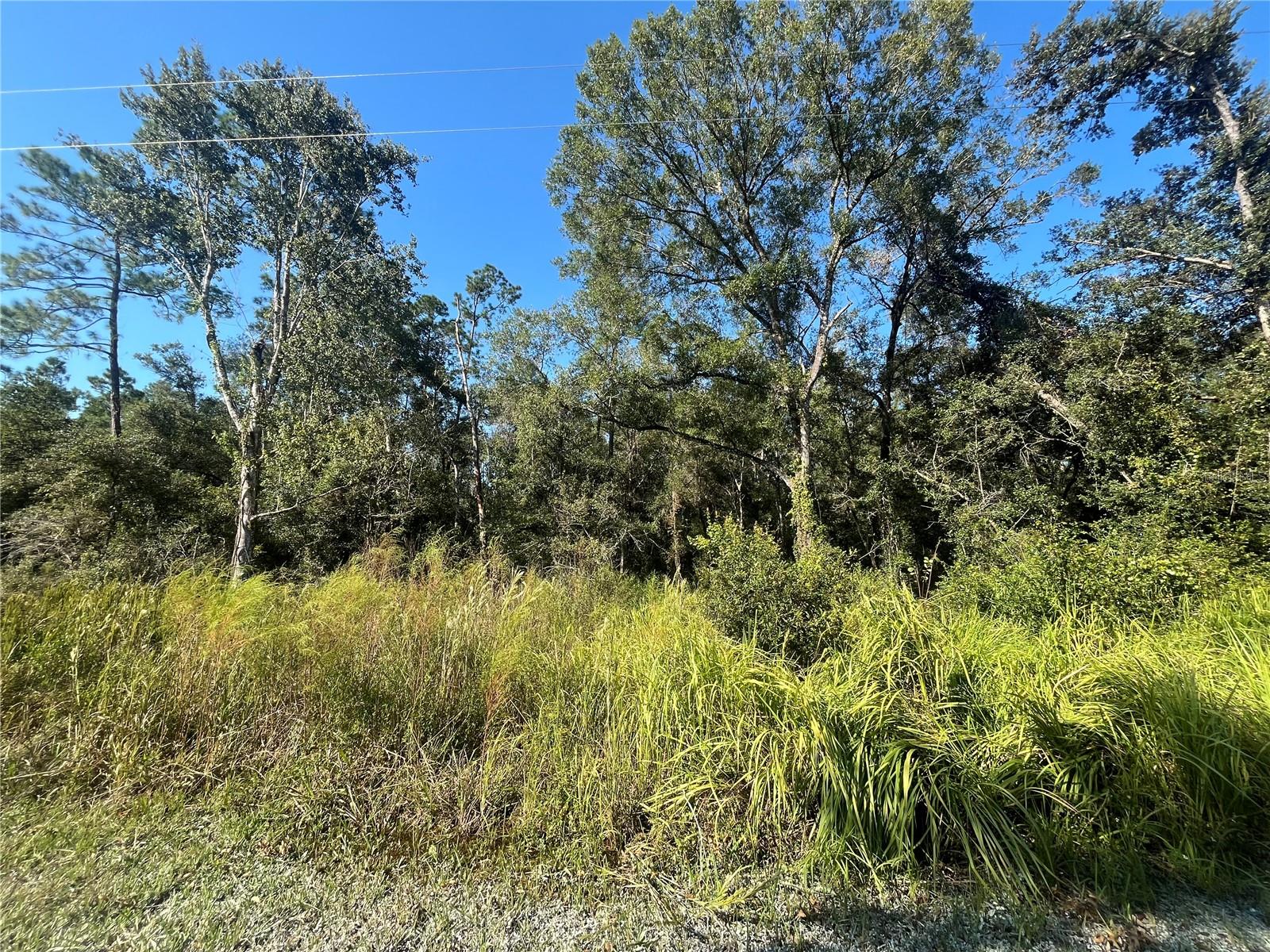 GRINDSTONE DR, WEBSTER, FL, 33597