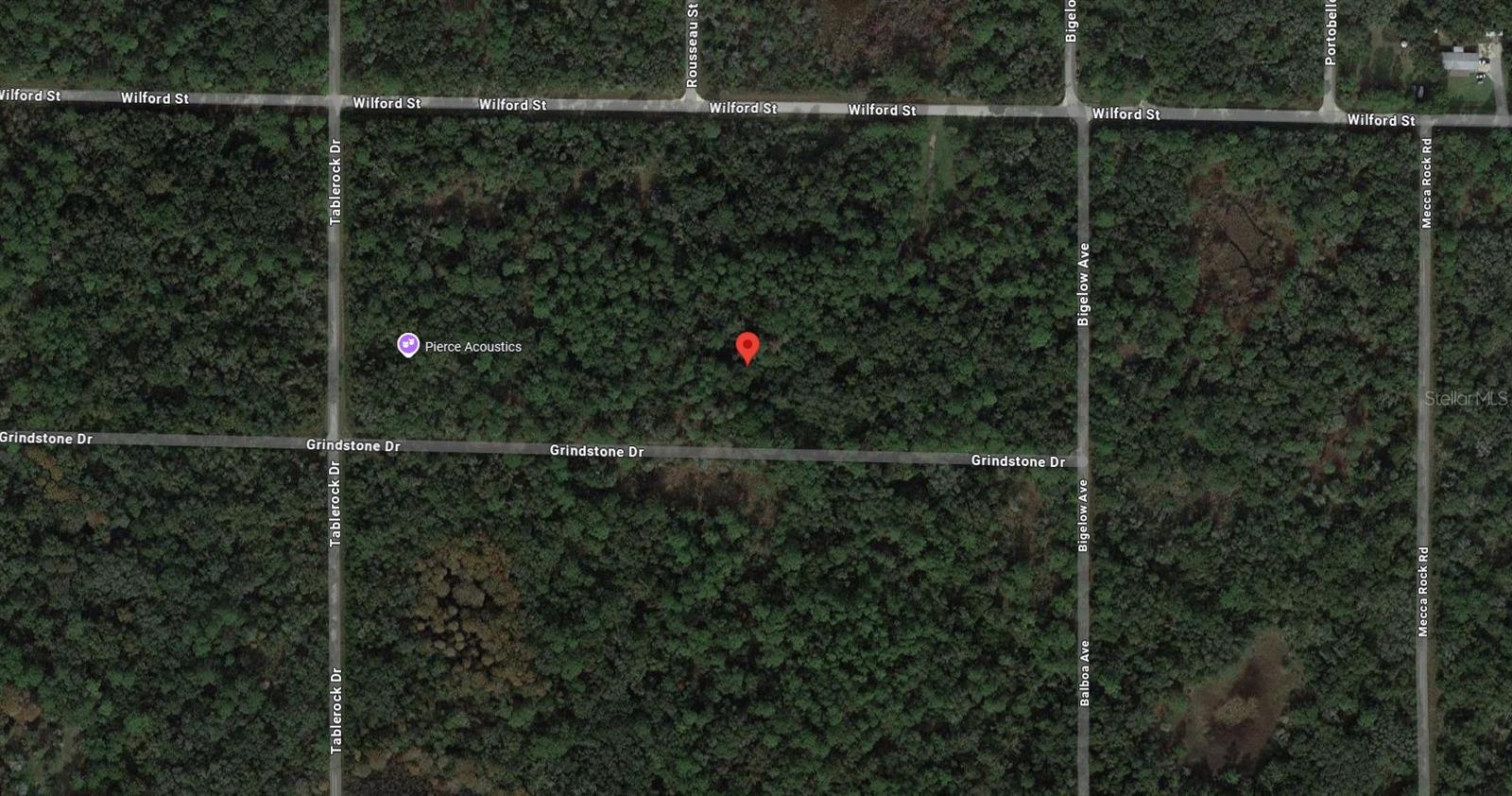 GRINDSTONE DR, WEBSTER, FL, 33597