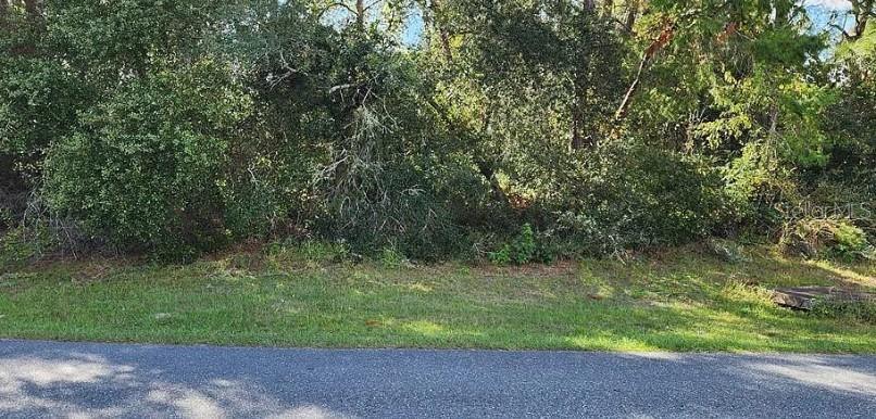 SW 170 PL, OCALA, FL, 34473