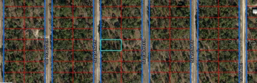 SE 134TH CT, DUNNELLON, FL, 34431