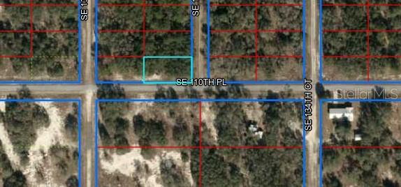 SE 110TH PL, DUNNELLON, FL, 34431