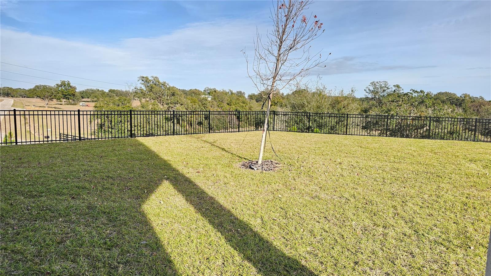 2016 KEYSTONE PASS BLVD, MINNEOLA, FL, 34715