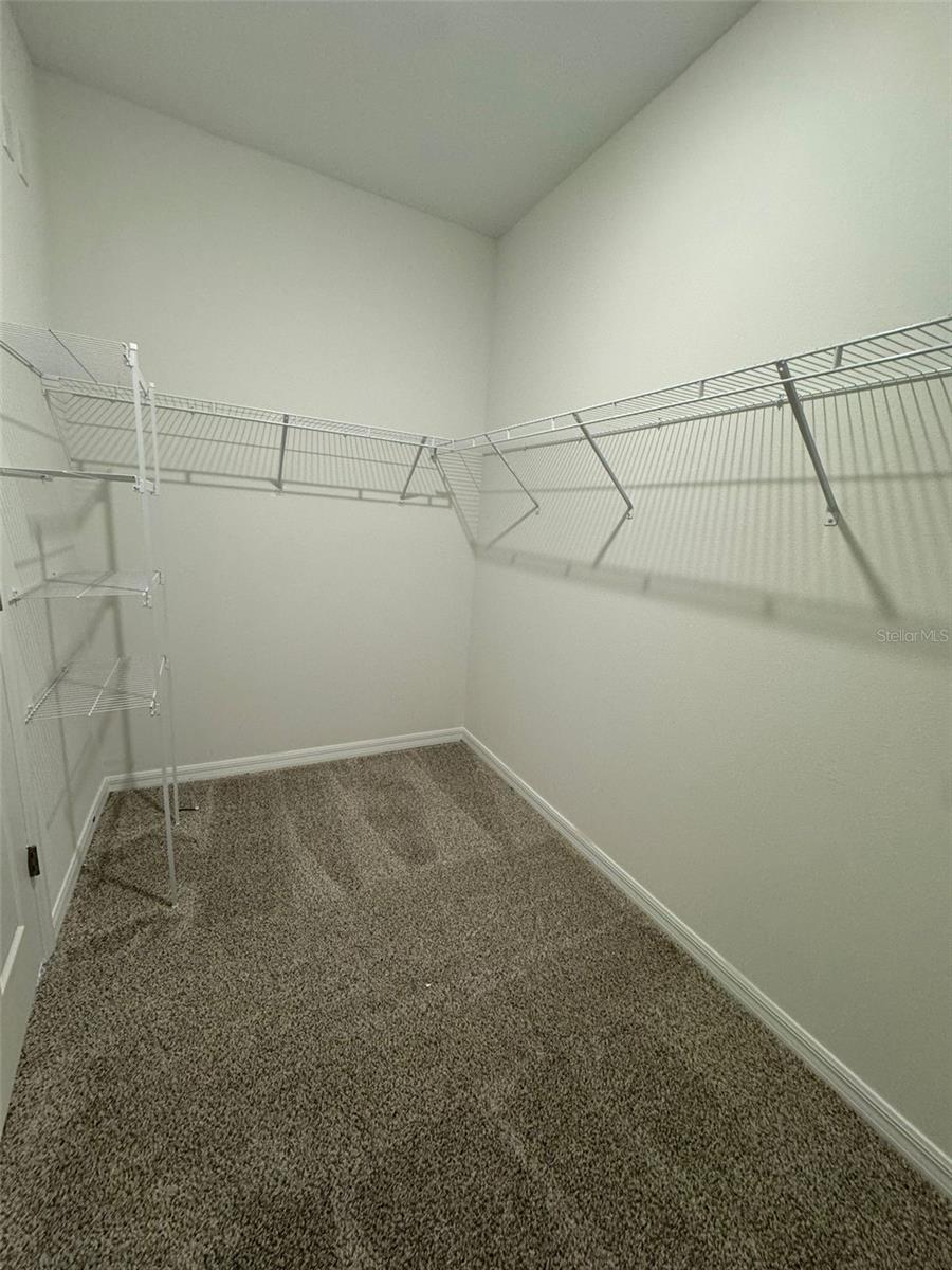 11938 BRACCO ST, WINTER GARDEN, FL, 34787