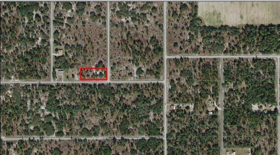 UNDETERMINED, DUNNELLON, FL, 34431