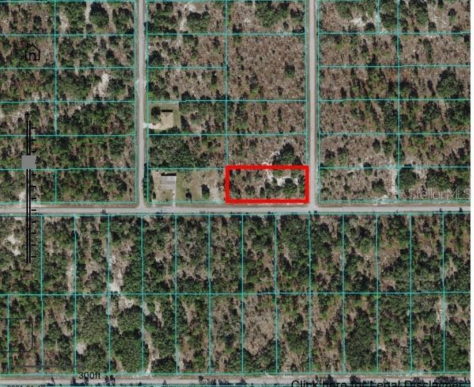 UNDETERMINED, DUNNELLON, FL, 34431