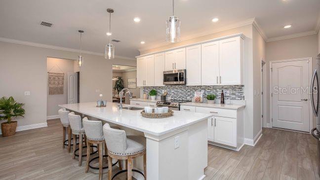833 OAKS SHORES RD, LEESBURG, FL, 34748