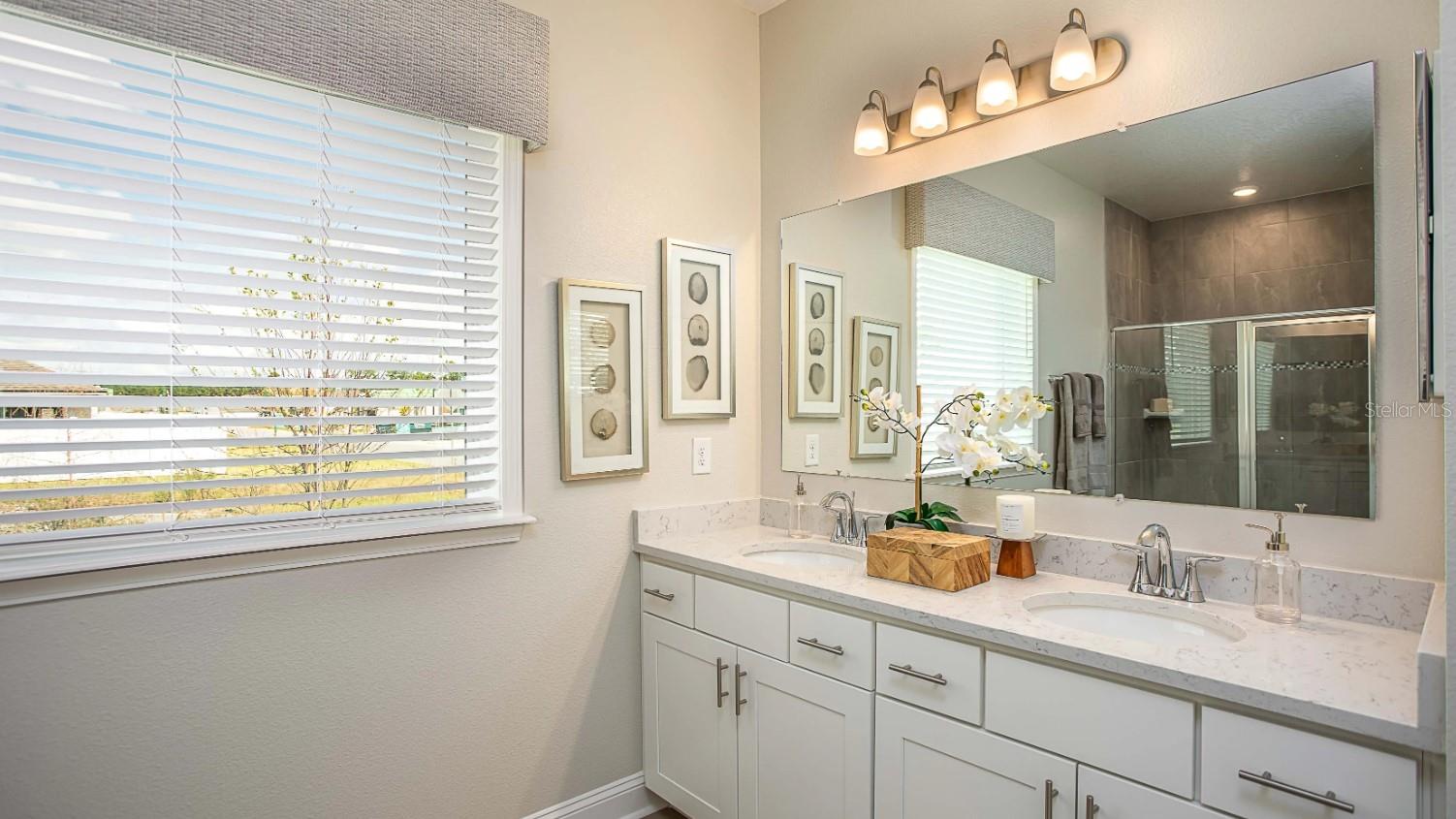 833 OAKS SHORES RD, LEESBURG, FL, 34748