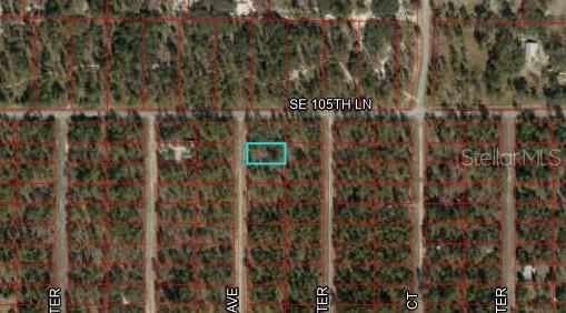 SE 133RD AVE, DUNNELLON, FL, 34431