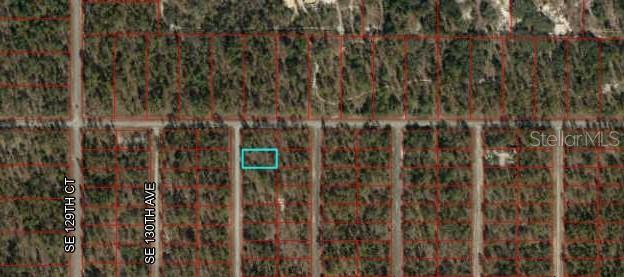 SE 130TH CT, DUNNELLON, FL, 34431