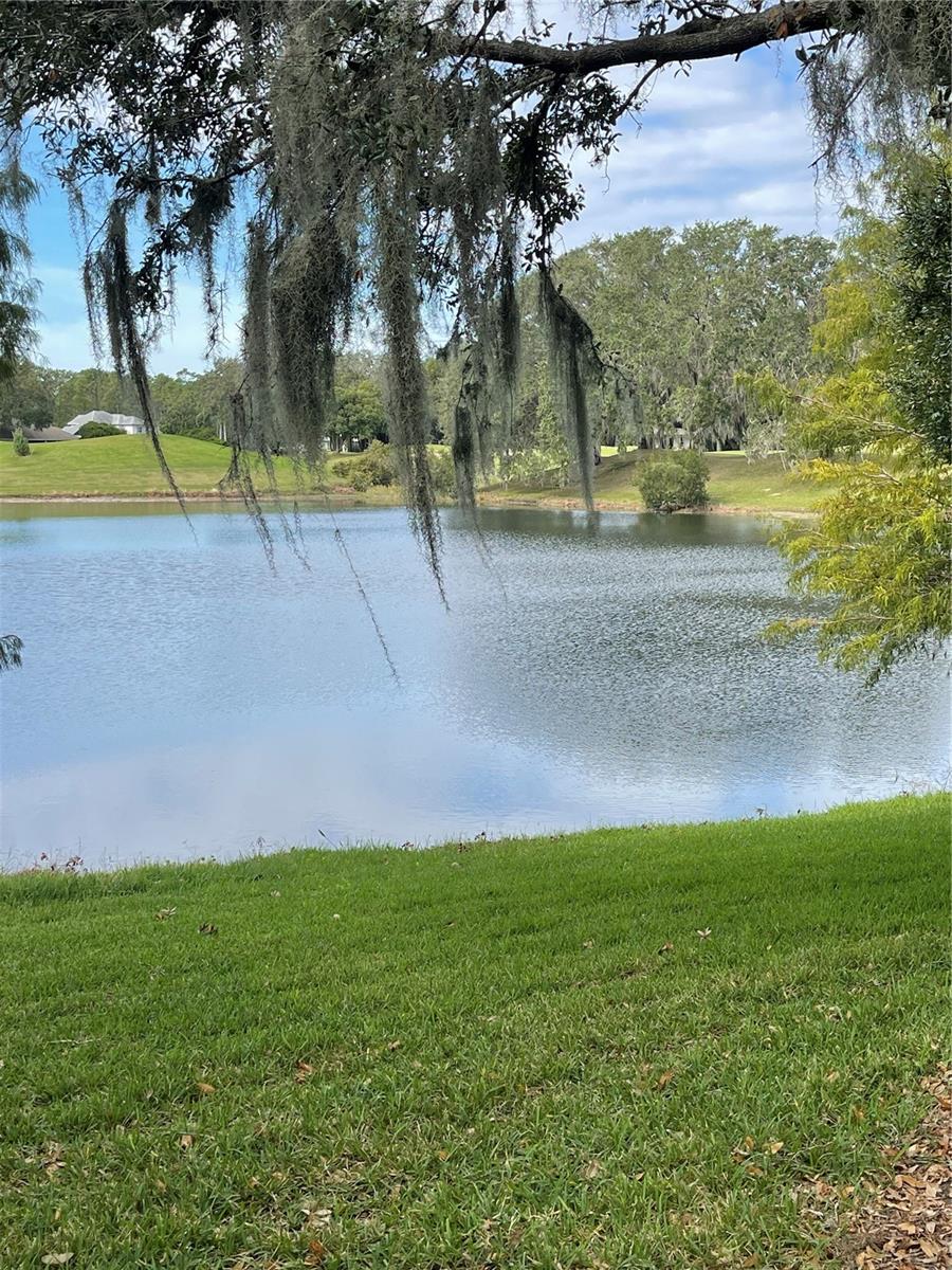 7023 ARCADIAN CT, MOUNT DORA, FL, 32757