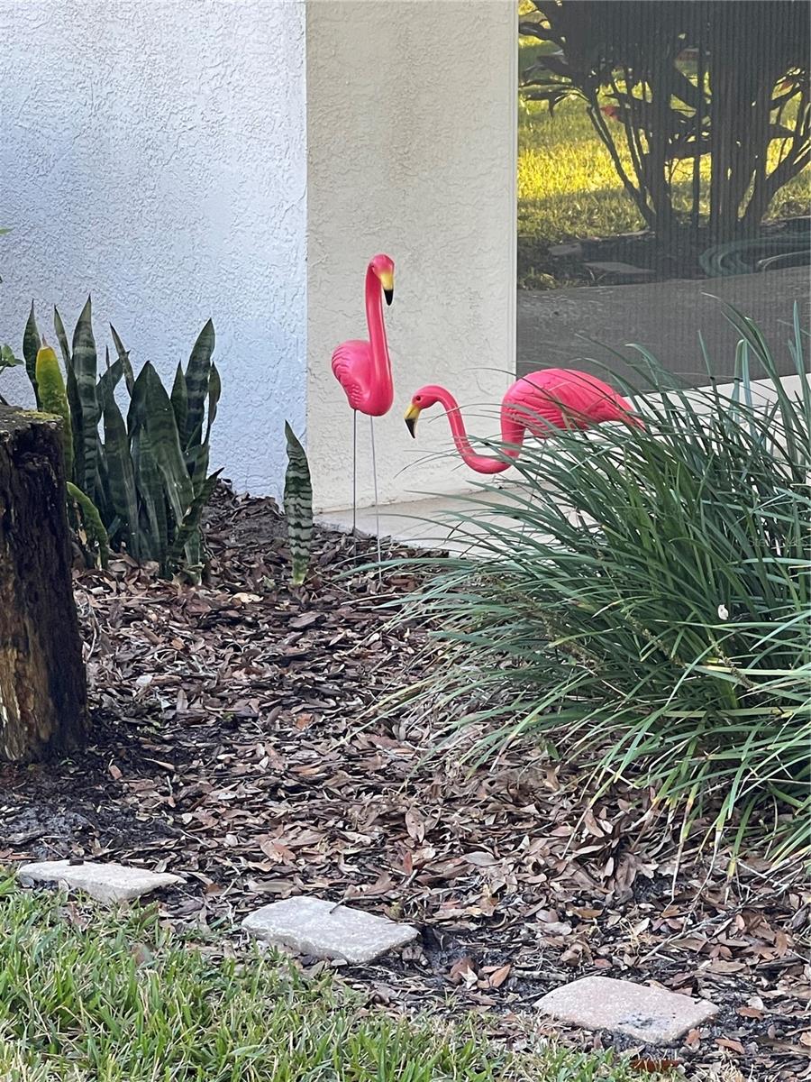 7023 ARCADIAN CT, MOUNT DORA, FL, 32757