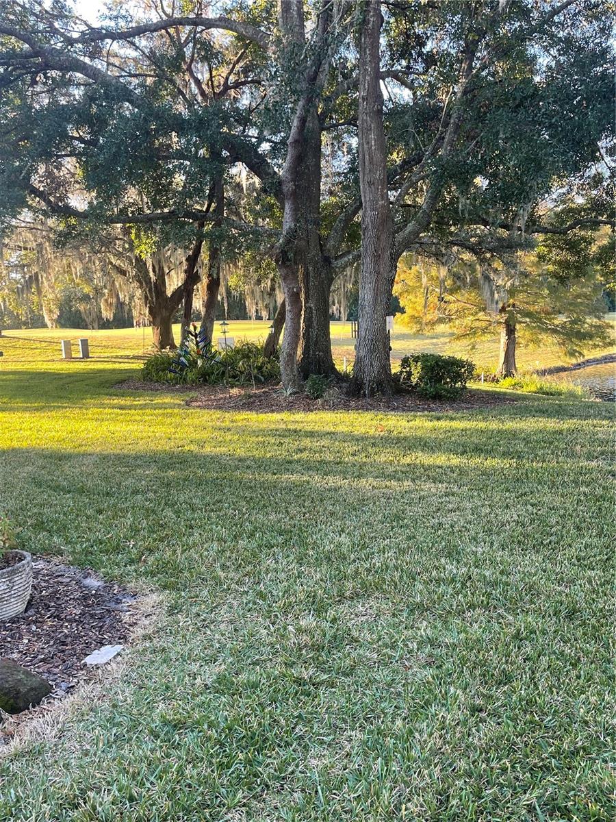 7023 ARCADIAN CT, MOUNT DORA, FL, 32757