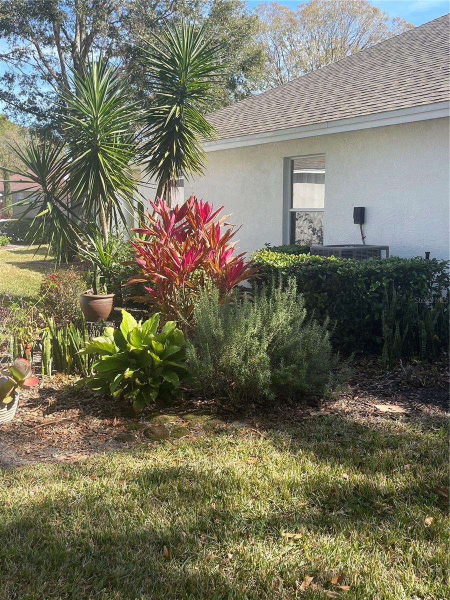 7023 ARCADIAN CT, MOUNT DORA, FL, 32757