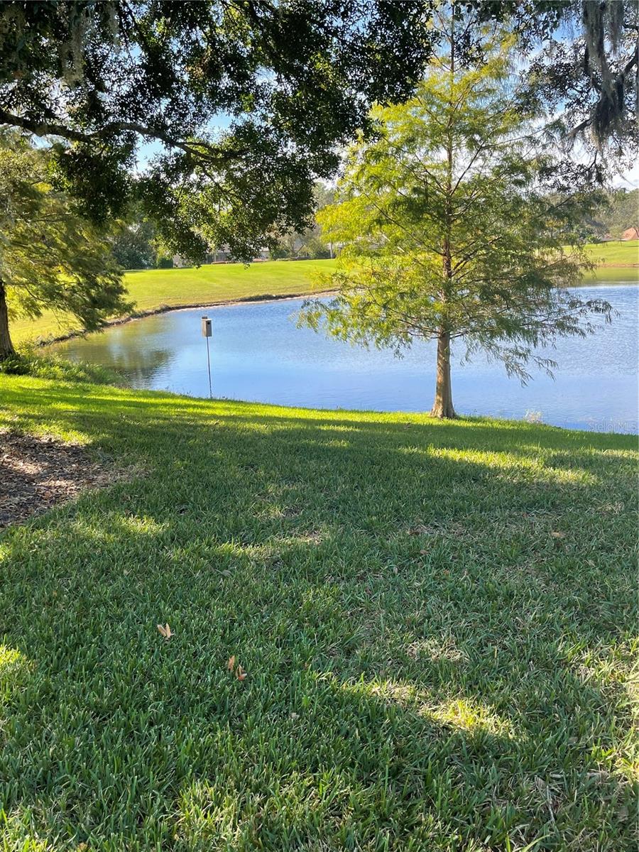 7023 ARCADIAN CT, MOUNT DORA, FL, 32757