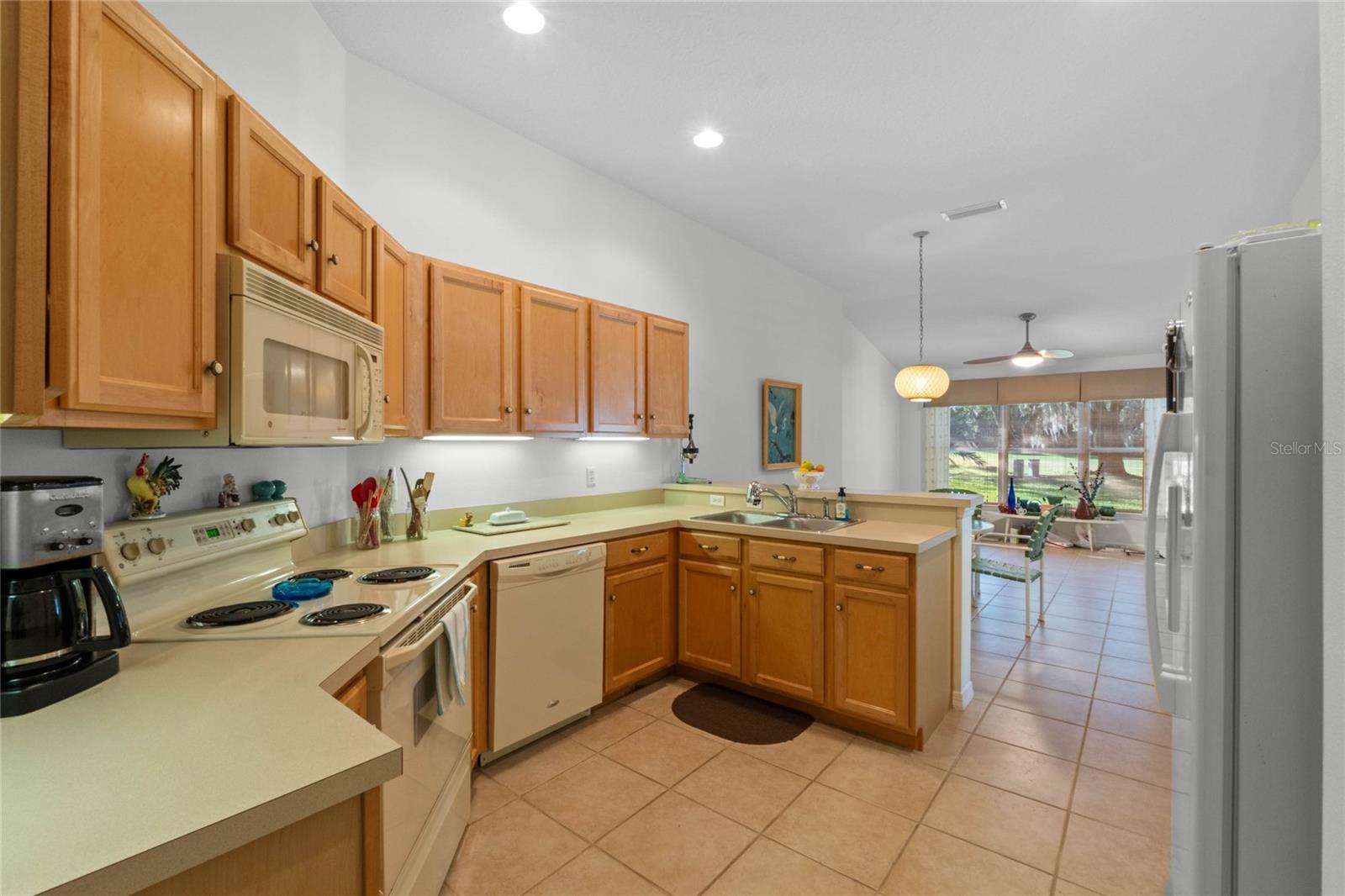 7023 ARCADIAN CT, MOUNT DORA, FL, 32757